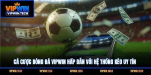 Cá Cược Bóng Đá VIPWIN Hấp Dẫn Với Hệ Thống Kèo Uy Tín