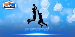 Cá Cược Bóng Rổ VIPWIN