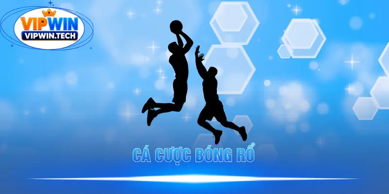 Cá Cược Bóng Rổ VIPWIN