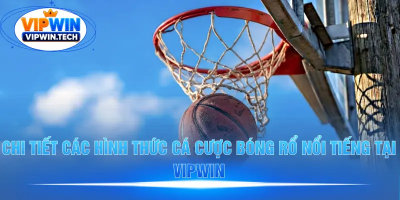 Các hình thức cá cược bóng rổ nổi bật tại VIPWIN