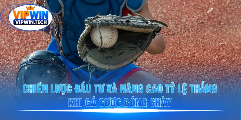 Mẹo chơi bóng chày an toàn từ cao thủ VIPWIN