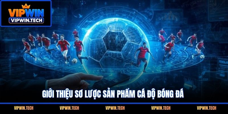 Giới thiệu sơ lược sản phẩm cá độ bóng đá