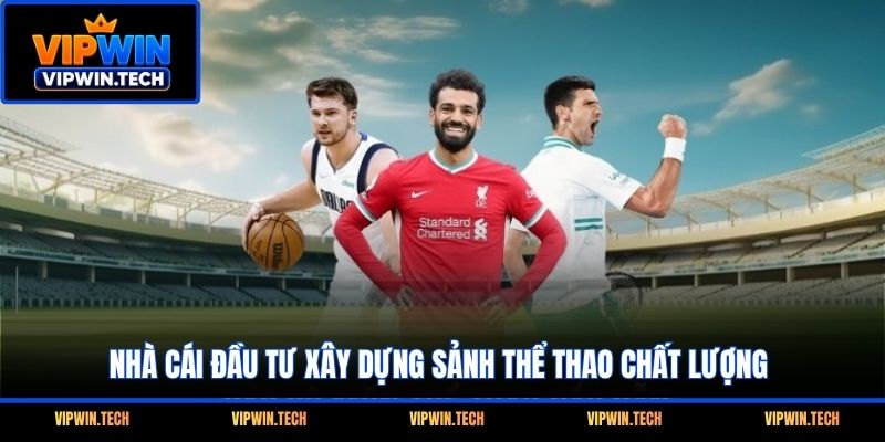 Nhà cái đầu tư xây dựng sảnh thể thao chất lượng