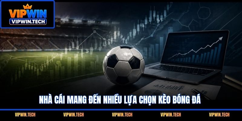 Nhà cái mang đến nhiều lựa chọn kèo bóng đá