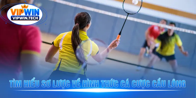 Khám phá hình thức cá cược cầu lông hấp dẫn