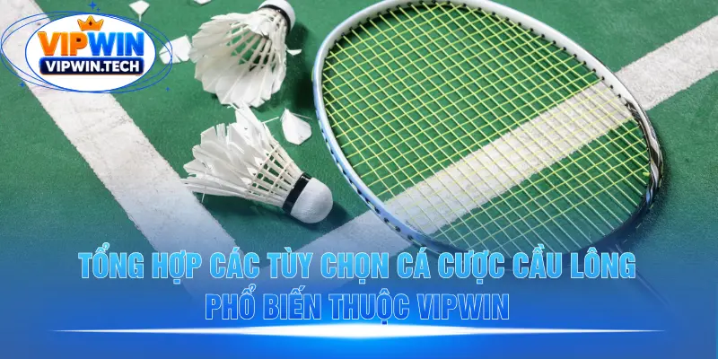 Danh sách kèo cá cược cầu lông phổ biến tại VIPWIN